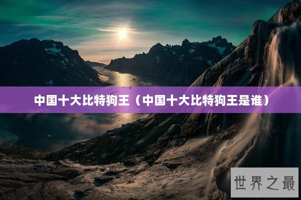 中国十大比特狗王（中国十大比特狗王是谁）
