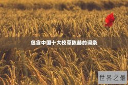 包含中国十大校草陈赫的词条