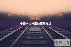 中国十大神童的简单介绍