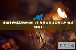 中国十大财富管理公司（十大财富管理公司排名 优选财富）