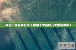 中国十大品牌开关（中国十大品牌开关插座面板）