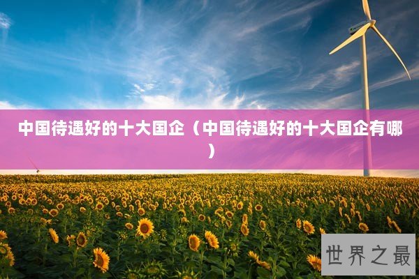 中国待遇好的十大国企（中国待遇好的十大国企有哪）