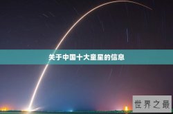 关于中国十大童星的信息