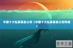 中国十大私募基金公司（中国十大私募基金公司双峰）
