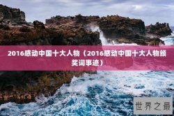 2016感动中国十大人物（2016感动中国十大人物颁奖词事迹）