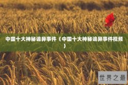 中国十大神秘诡异事件（中国十大神秘诡异事件视频）