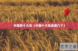 中国前十大岛（中国十大岛是哪几个）
