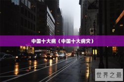中国十大病（中国十大病灾）