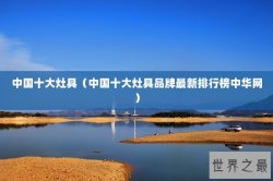 中国十大灶具（中国十大灶具品牌最新排行榜中华网）