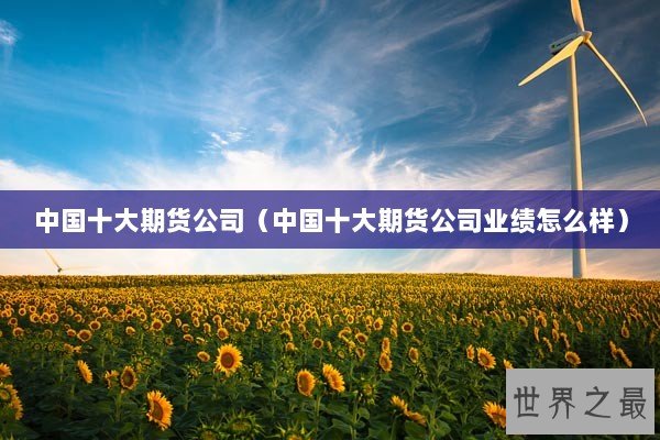 中国十大期货公司（中国十大期货公司业绩怎么样）