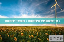 中国历史十大战役（中国历史最大的战役是什么）