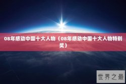 08年感动中国十大人物（08年感动中国十大人物特别奖）
