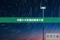 中国十大花洒的简单介绍