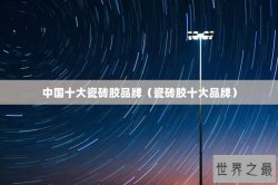 中国十大瓷砖胶品牌（瓷砖胶十大品牌）