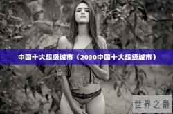 中国十大超级城市（2030中国十大超级城市）
