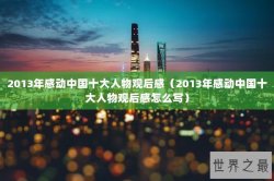 2013年感动中国十大人物观后感（2013年感动中国十大人物观后感怎么写）