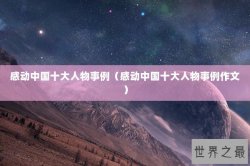 感动中国十大人物事例（感动中国十大人物事例作文）