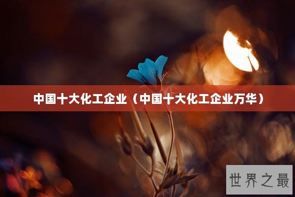 中国十大化工企业（中国十大化工企业万华）