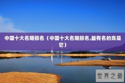 中国十大名烟排名（中国十大名烟排名,最有名的竟是它）