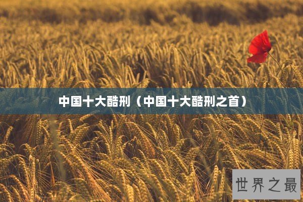 中国十大酷刑（中国十大酷刑之首）