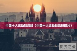 中国十大运动鞋品牌（中国十大运动鞋品牌图片）