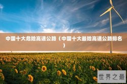 中国十大危险高速公路（中国十大最险高速公路排名）