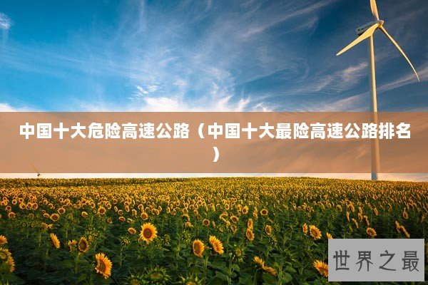 中国十大危险高速公路（中国十大最险高速公路排名）
