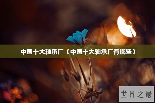 中国十大轴承厂（中国十大轴承厂有哪些）