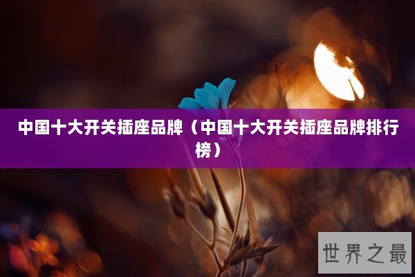 中国十大开关插座品牌(中国十大开关插座品牌排行榜) 中国十大开关插座品牌(中国十大开关插座品牌排行榜)