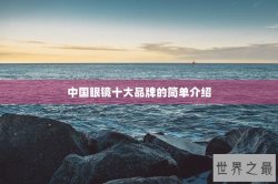 中国眼镜十大品牌的简单介绍