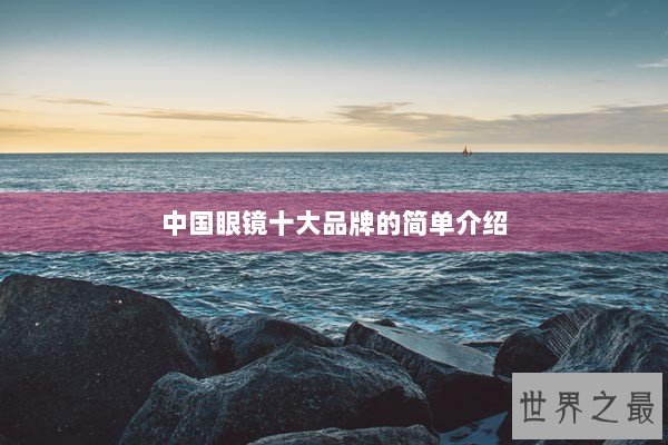 中国眼镜十大品牌的简单介绍