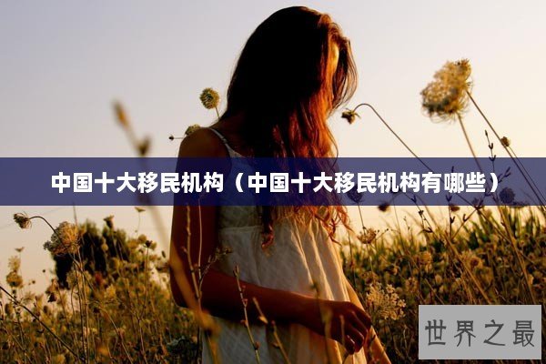 中国十大移民机构（中国十大移民机构有哪些）