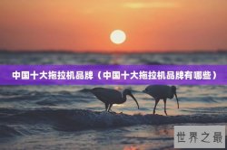 中国十大拖拉机品牌（中国十大拖拉机品牌有哪些）