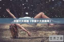 中国十大微商（中国十大微商网）