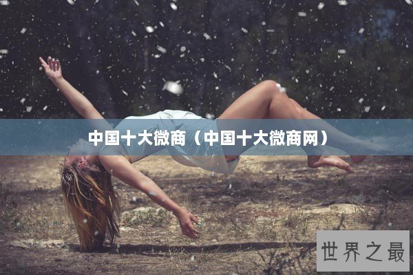 中国十大微商（中国十大微商网）