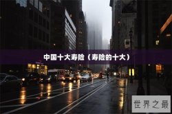 中国十大寿险（寿险的十大）