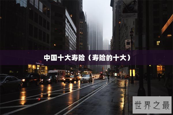 中国十大寿险(寿险的十大) 中国十大寿险(寿险的十大)