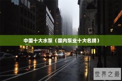 中国十大水泵（国内泵业十大名牌）