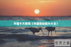 中国十大萌娃（中国萌娃图片大全）