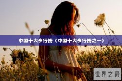 中国十大步行街（中国十大步行街之一）