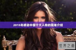 2015年感动中国十大人物的简单介绍
