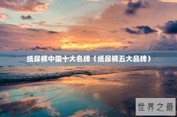 纸尿裤中国十大名牌（纸尿裤五大品牌）