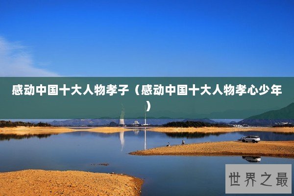 感动中国十大人物孝子（感动中国十大人物孝心少年）