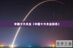 中国十大木业（中国十大木业排名）