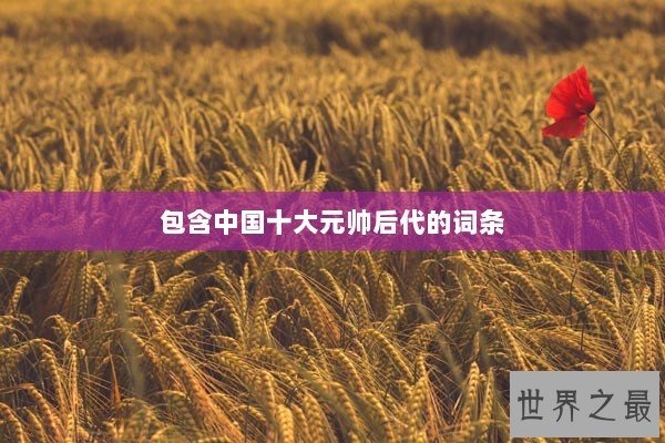 包含中国十大元帅后代的词条