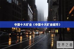 中国十大矿业（中国十大矿业城市）