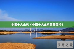 中国十大土鸡（中国十大土鸡品种图片）