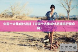 中国十大集成灶品牌（中国十大集成灶品牌排行榜官网）