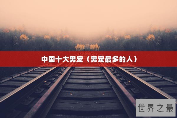 中国十大男宠（男宠最多的人）