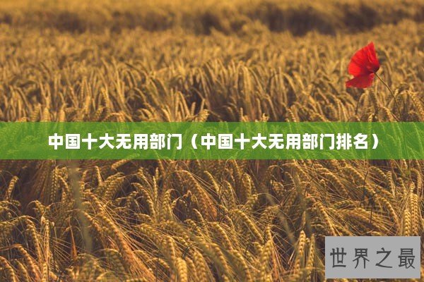 中国十大无用部门（中国十大无用部门排名）